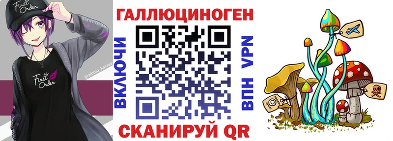 Псилоцибиновые грибы GOLDEN TEACHER  Купить закладки  Канаш 