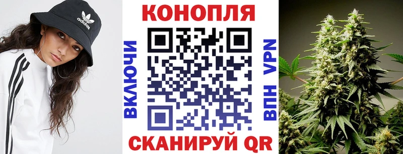 Купить закладки  Канаш  Бошки Шишки план 